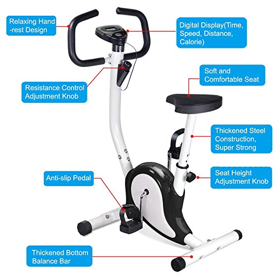 Popamazing Gym Fitness Master Exercise Bike Cardio Workout Adjustable Resistance(Purple)