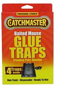 Mouse Glue Traps (Pack of 4)