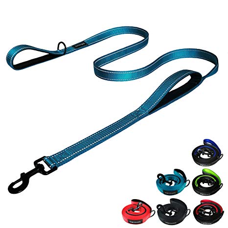 DOGSAYS Dog Leash 6ft Long - Traffic Padded Two Handle - Heavy Duty - Double Comfortable Handles Lead for Control Safety Training - Leashes for Large Dogs or Medium Dogs - Sturdy Leash Dual Handle