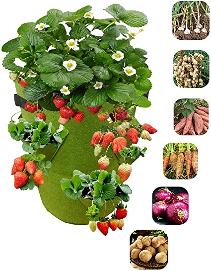 Prudance 7 Gallon Strawberry Planting Grow Bags 2-Pack,Nonwoven Fabric High Strength Thickening Plant Bags,Vegetable Planter with Handles and 8 Side Planting Pockets,Green