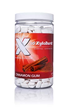 Xyloburst Xylitol Gum Jar, Cinnamon, 500 Count,26.45 ounces