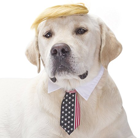 Dog costumes Trump wig tie pets hair accessories stars stripes necktie for Christmas