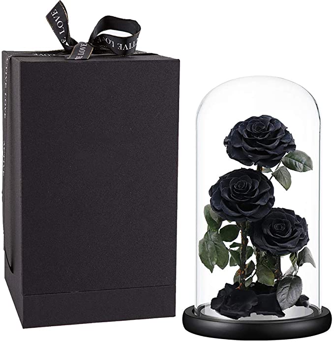 Eternal Roses Handmade Preserved Real Rose in Glass Dome, Black Roses Never Withered Gifts for Her, Valentine's Day, Mother's Day, Birthday, Christmas, Anniversary(13 inch)