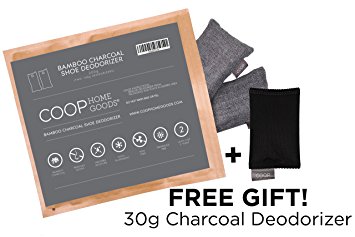 Coop Home Goods - Natural Moso Bamboo Charcoal Deodorizer - 2 x 100g (2 pcs) for shoes, boots, gym bag or boxing gloves with FREE 30g travel sachet