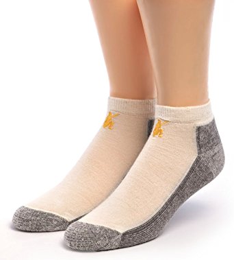 Warrior Alpaca Socks - Men's Sport Mini Crew Sock