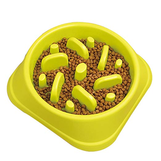 STARUBY Slow Feeder Dog Bowl, Slow Feed Dog Bowl Dog Food Bowls to Slow Down Eating Eco-Friendly Medium Size Green