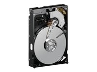 WD Blue 80 GB Desktop Hard Drive: 3.5 Inch, 7200 RPM, PATA, 8 MB Cache - WD800AAJB