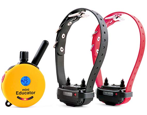 Educator ET-302TS 1/2-Mile 2 Dog Mini E-Collar Remote Dog Traininer