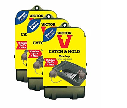 Victor Multiple Catch Humane Live Mouse Trap M333 - Catch up to 4 mice (3 Traps)