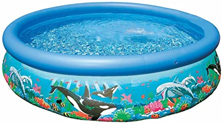 Intex 28125EH 10ft X 30in Ocean Reef Easy Set Pool Set with Filter Pump