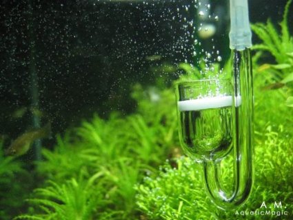 Rhinox Nano CO2 Diffuser - Keep aquarium plants healthy with CO2 injection: 3 minutes to setup: Work best with Pressurized CO2 tank: For Tank size under 20 Gallon