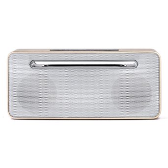 Bluetooth Speaker, Portable Wireless Super Bass Stereo Speaker with Built-in Microphone, 10W Powerful Drivers,12 Hours Playtime (Champagne)