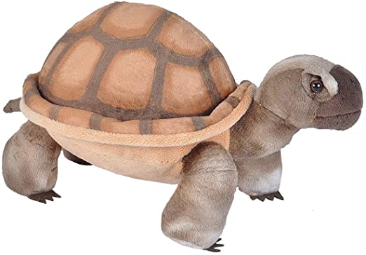 Wild Republic Desert Tortoise Plush, Stuffed Animal, Plush Toy, Gifts for Kids, Cuddlekins 12 Inches,Multi