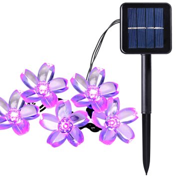 Qedertek Solar String Lights, 23Ft Outdoor Waterproof 50 LED Cherry Flowers Fairy Lighting Decorations for Christmas, Patio, Lawn, Fence, Garden, Holiday (Purple)