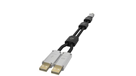 iFi - Gemini USB Cable (1.5m)