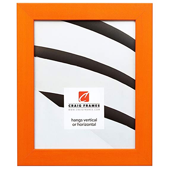 Craig Frames 26028 17 by 22-Inch Picture Frame, Smooth Wrap Finish, 1.25-Inch Wide, Orange