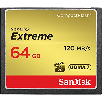 Sandisk Extreme CompactFlash Memory Card - 64 GB (SDCFXS-064G-A46)