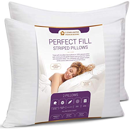 Queen Size Bed Pillows for Sleeping - 20x30, 2-Pack - Mid Loft - Soft Fiber Fill - Hypoallergenic - Stripe Cotton Covers - Best Alternative to Feather and Down Bedding - Fit to Standard Pillowcases