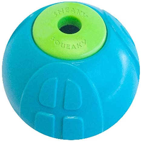 Petstages Sneaky Squeak Ball Dog Toy
