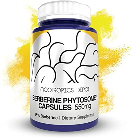 Nootropics Depot Berberine Phytosome Capsules | 550mg | High Bioavailability Berberine | Berbevis | Berberis aristata | Metabolic Health, Cognitive Function