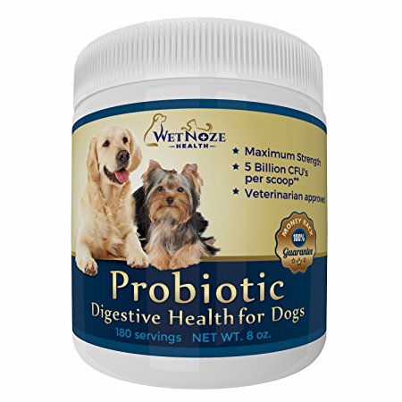 Probiotics for Dogs – Relief from Diarrhea Constipation Allergies Bad Breath Itching & Gas - Max Strength Canine Probiotic Powder for Puppies & Adults by WetNozeHealth - Made in USA - 5 BILLION CFUs