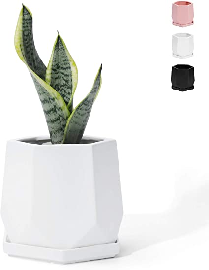 POTEY 051001 Ceramic Plant Pot - 4.9 Inch Glazed Ceramic Modern Hexagon Geometric Planters Indoor Bonsai Container with Drainage Hole & Saucer for Plants Flower Succulent Aloe(Matte White)