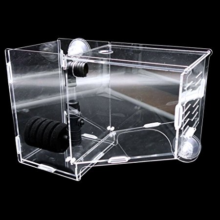 Happy Pet Fish Breeding Incubator, Transparent Isolated Box for Guppy and Bettas, Acrylic Incubation Boxes
