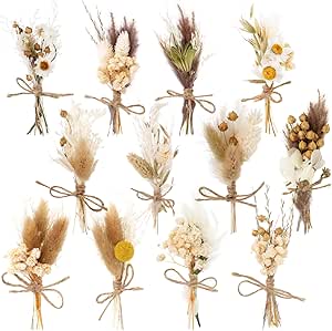 12 Pack Dried Flower Bouquet Mini Natural Pampas Grass for Crafts Small Dried Embossing Floral with Stem Boho Artificial Arrangement Wedding Derco Flowers Bundles for Vases,Wedding,Home, Party