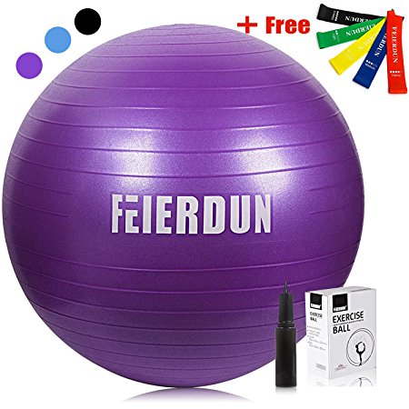 Exercise Ball ( Multiple Sizes ) - FEIERDUN Swiss Ball Supporting 2200lbs for Yoga,Stability,Fitness,Balance,Home,Desk Chair & Gym - a hand pump & 5 Resistance Loop Bands Included