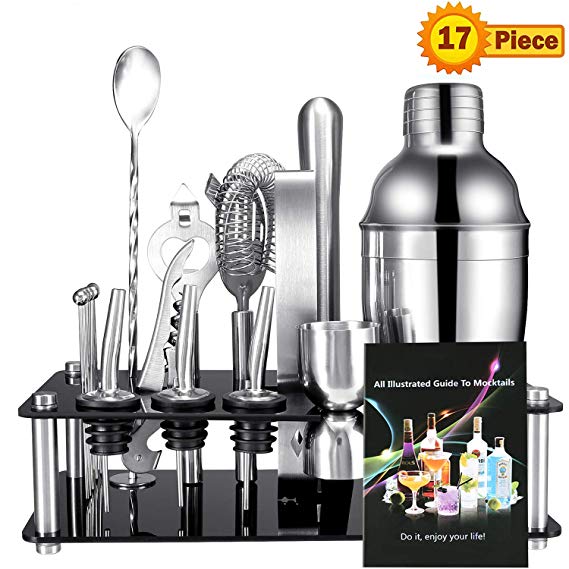 Bartender Kit, 17-Piece Stainless Steel Cocktail Shaker Set Bar Tools with Sleek Display Stand and Recipes Booklet, Bartending Kit for Home, Bars, Travel and Outdoor Party