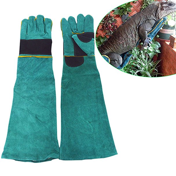 WINGOFFLY 23.6"Animal Handling Anti-bite/scratch Gloves For Dog Cat Bird Snake Parrot Lizard Wild Animals Protection Gloves(Deep Green)