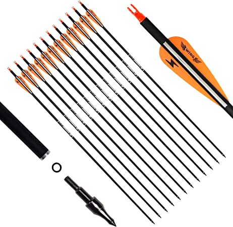 e5e10 31inch Carbon Arrow Archery Targeting Practice Hunting Arrows for Compound & Recurve Bow with Removable Tips(Pack of 12)
