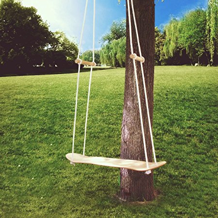Homedex Skateboard Swing Perfect Replacement for Traditional Swing