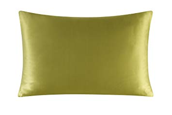 Townssilk Both Side 100% 16mm Silk Pillowcase Toddler Size Pillow Case Cover with Hidden Zipper Sagegreen
