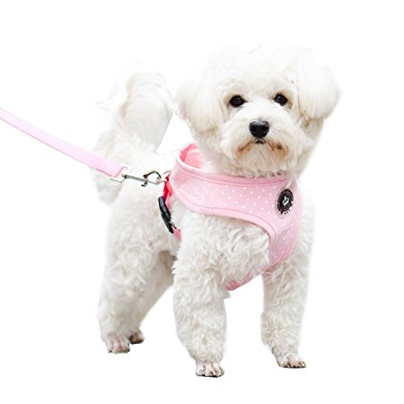 Soft Mesh Polka Dots Dog Harness with Matching Leash