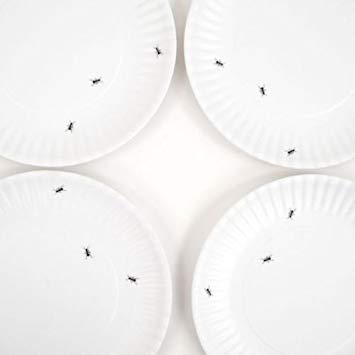 180 Degrees ME0036 What is It Reusable White Dinner Plate with Ant Design, 9 Inch Melamine, Set of 4, 9", Black
