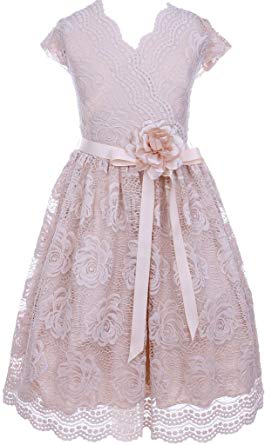 Little Girl Cap Sleeve Lace Floral Holiday Party Summer Flower Girl Dress USA