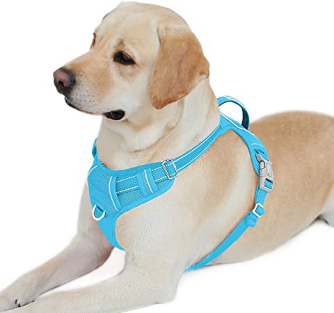 BARKBAY No Pull Dog Harness Front Clip Heavy Duty Reflective Easy Control Handle for Large Dog Walking with ID tag Pocket(Ocean Blue,L)