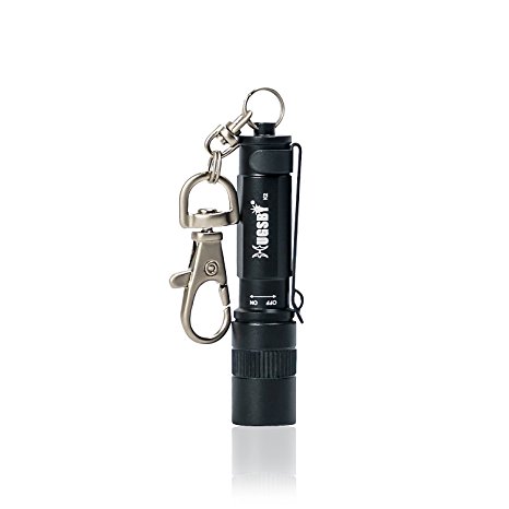 Paragala Aluminum Handheld LED Flashlights Mini CREE LED Flashlight Torch Camping Lamp IPX7 Waterproof Keychain Flashlight for Hiking Hunting Backpacking Fishing and BBQ,Powered By Battery