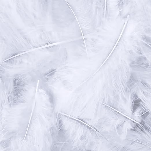 White Feathers for Crafts Dreamcatcher Fringe Trim Colored Feathers （100pcs White）