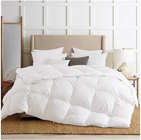 KASENTEX Contemporary Brushed Cotton and Microfiber Comforter - White Goose Down and Feather Fill, 700 Fill Power 54oz, Duvet Insert with Blue Silky Piping and Soft Touch, King Size