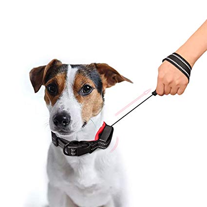 Namsan 2 in 1 Dog Leash Collar - Retractable Dog Collar Leash Dog Leash & Collar for Medium and Small Dogs,Red