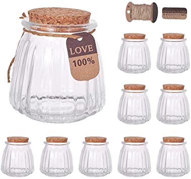 BENECREAT 10 Pack 3.4oz 100ml Glass Favor Jars with Cork Lids, Tags and Strings Ribbing Bottle-Shaped Jars for Home Party Candy Choclate Snacks Favor Storage and Decortaion