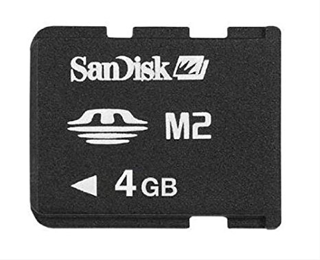 Sandisk M2 4 GB Micro SD Memory Card