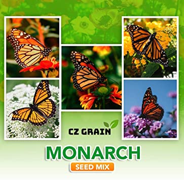 Monarch Butterfly Garden Kit -28 Species of Perennial Milkweed and Wildflower Seeds - If You Grow it Monarchs Will Come - Kids STEM Project - Create a Beautiful Garden Full of Butterflies