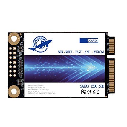 Dogfish Msata 60GB Internal Solid State Drive Mini Sata SSD Disk