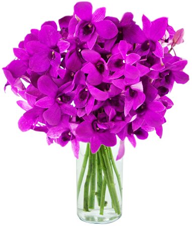 Ultimate Purple Dendrobium Orchid Bouquet (20 stems) - The KaBloom Collection Flowers With Vase