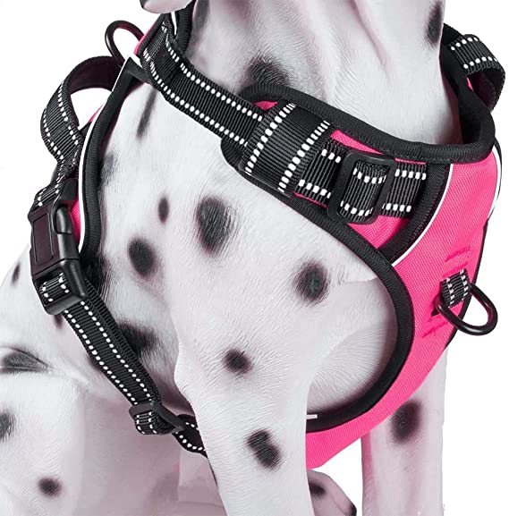 PoyPet No Pull Dog Harness, Reflective Vest Harness with 2 Leash Attachments and Easy Control Handle for Small Medium Large Dog