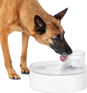 PetSafe Outlast Pumpless Dog Water Fountain 128 oz – Indoor Water Dispenser for Dogs and Multiple Cats - Dishwasher Safe, Easy Assembly and Cleaning, Water Filter Included