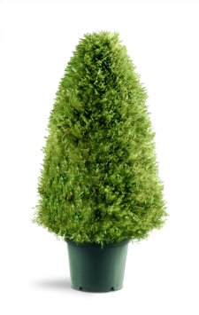 National Tree Upright Juniper Tree with Green Round Plastic Pot 30-Inch